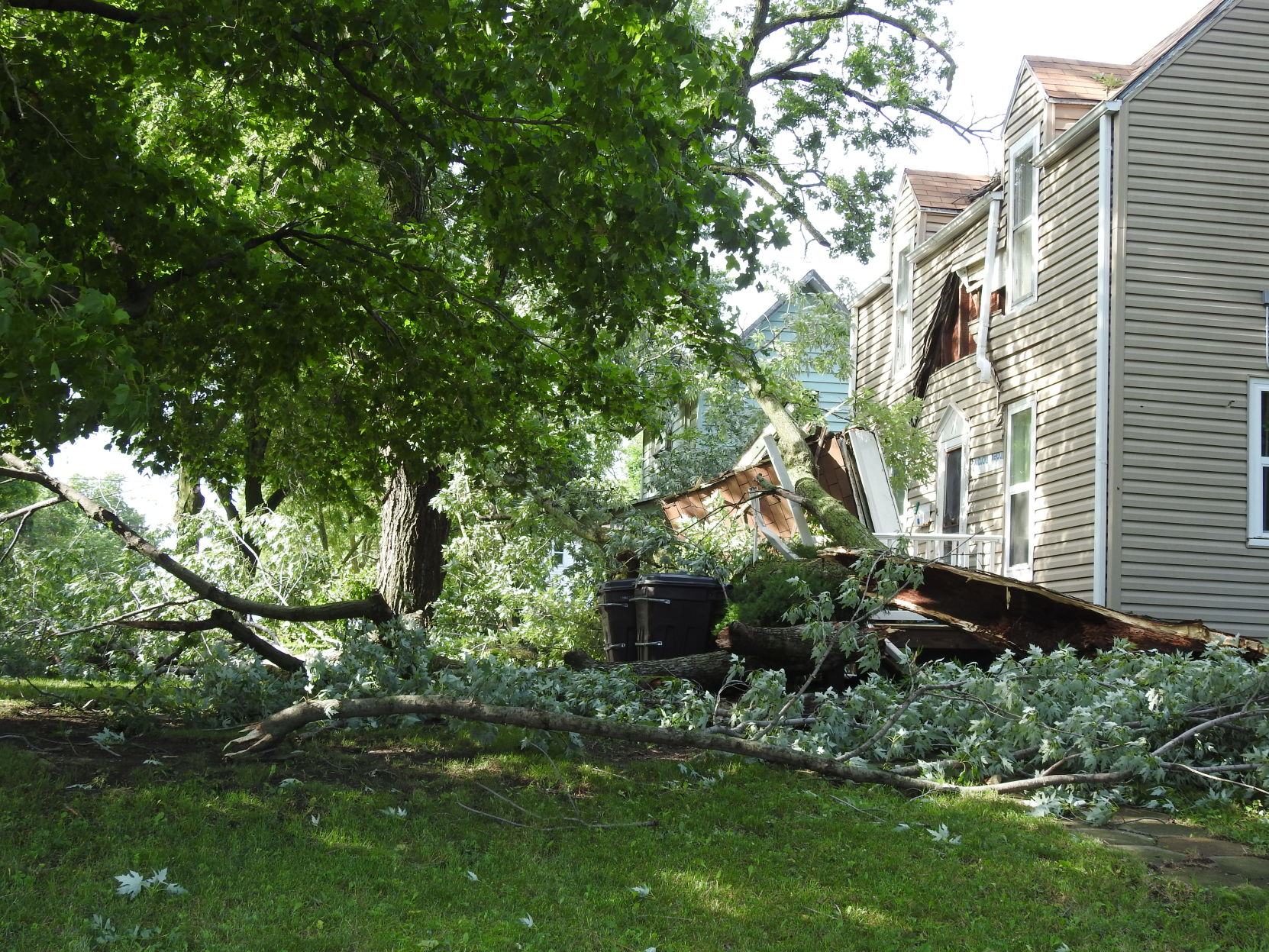 Storm damage in Marysville